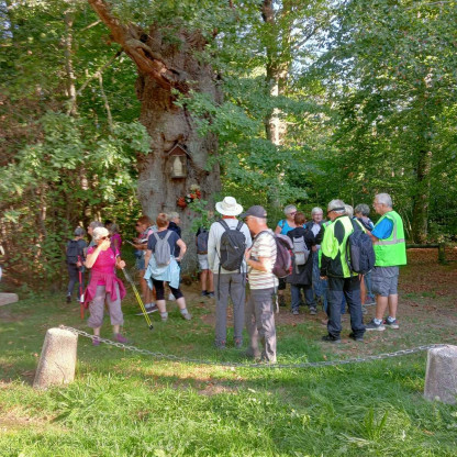 rando 1/2 journée Saint Pierre du Bosguérard