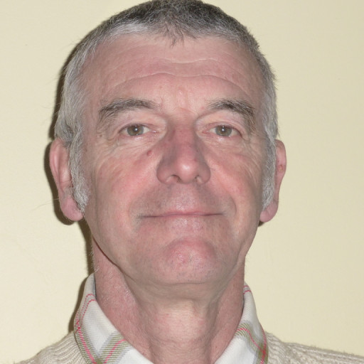 Bruno Heroult